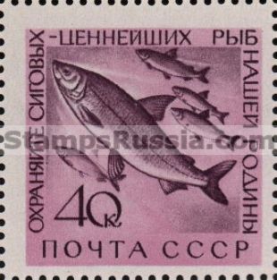 Russia stamp 2469