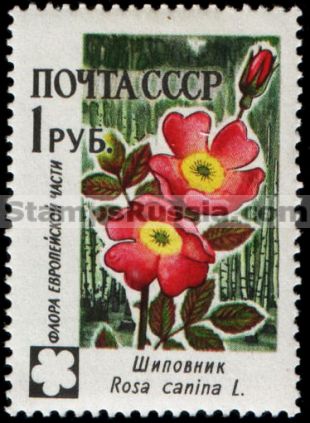 Russia stamp 2501