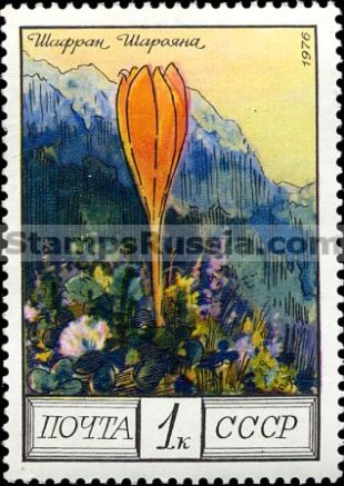 Russia stamp 4649