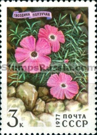 Russia stamp 4697