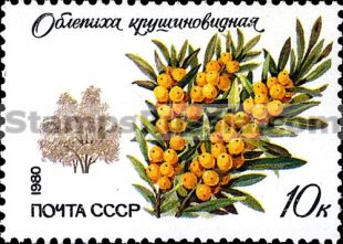 Russia stamp 5123