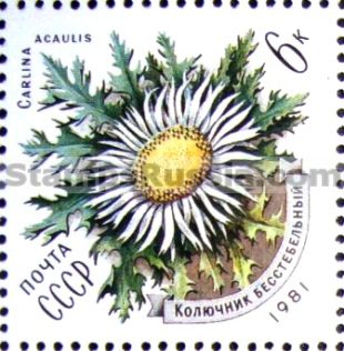 Russia stamp 5193