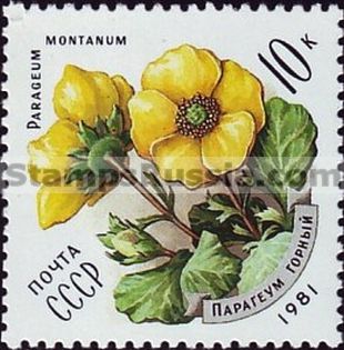 Russia stamp 5194