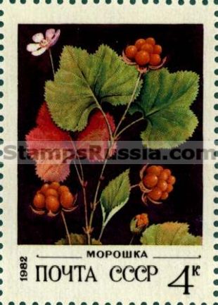 Russia stamp 5273