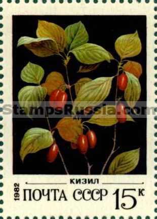 Russia stamp 5276