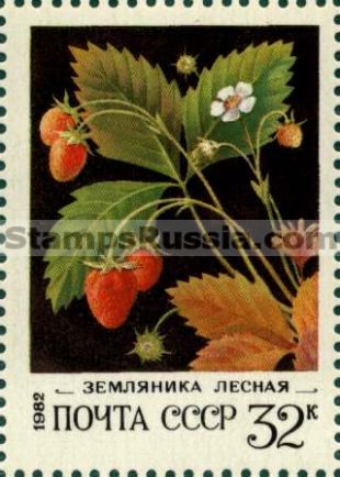 Russia stamp 5277