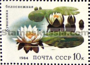 Russia stamp 5504
