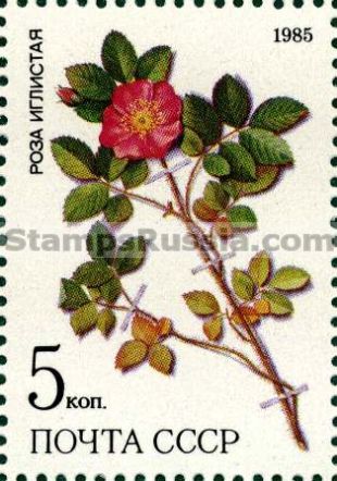 Russia stamp 5651