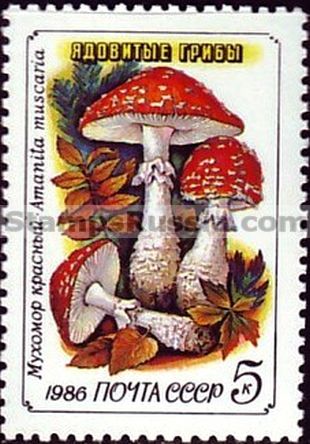 Russia stamp 5725 - Click Image to Close