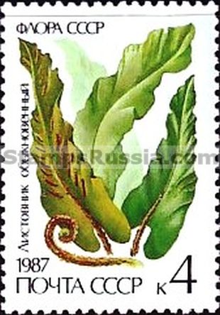 Russia stamp 5846