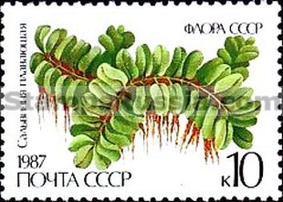 Russia stamp 5848