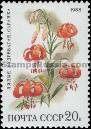 Russia stamp 5968