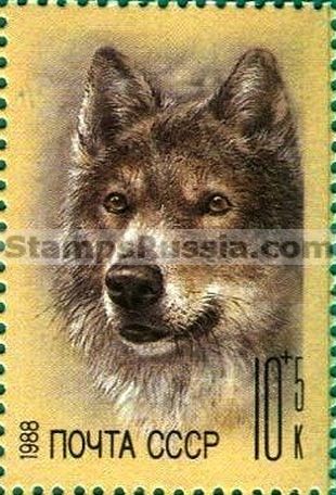 Russia stamp 5996