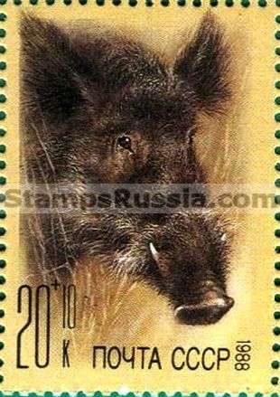 Russia stamp 5998