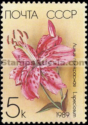 Russia stamp 6050