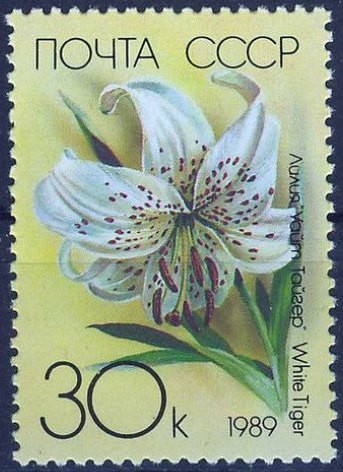 Russia stamp 6053