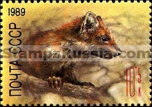 Russia stamp 6054