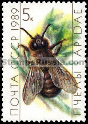 Russia stamp 6069