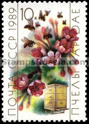 Russia stamp 6070