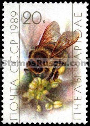 Russia stamp 6071