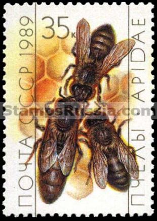 Russia stamp 6072
