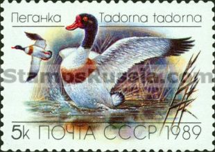 Russia stamp 6084