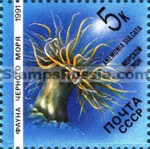 Russia stamp 6280