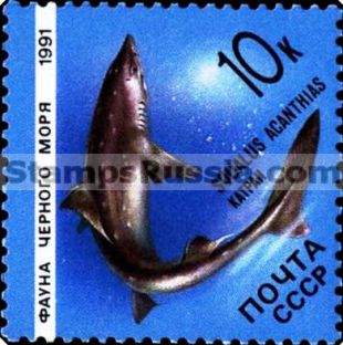 Russia stamp 6281