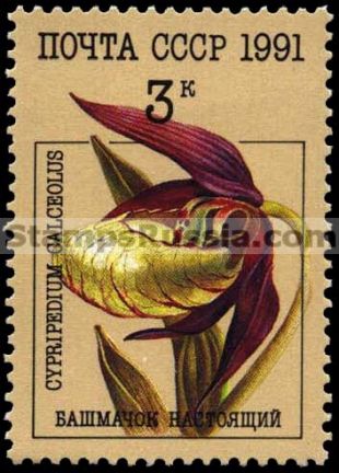 Russia stamp 6315