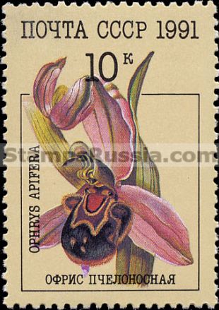 Russia stamp 6317