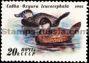 Russia stamp 6336